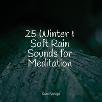Watching Rains - Water Sounds for Sleep & Sample Rain Library & Natureza Musica Bem-Estar Academia