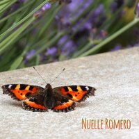 Super Feel - Nuelle Romero