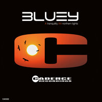 Northern Lights - Bluey