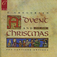 Tui Sunt Caeli - Pro Cantione Antiqua & James O' Donnell