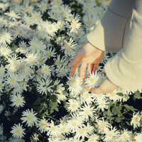 Pulsating Unwinding - Deluxe Soft Jazz