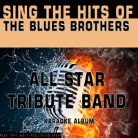 Shake a Tail Feather - All Star Tribute Band
