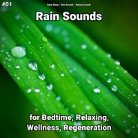 Peerless Rain Sounds - Deep Sleep & Rain Sounds & Nature Sounds
