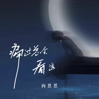 痛过总会看透 - 向思思