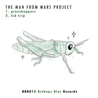 LSD Trip - The Man From Mars Project