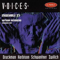 Concerto for Oboe, Clarinet and Strings (Larghetto) - Arthur Weisberg & Ensemble 21 & Martin Schuring & Robert Spring, Clarinet