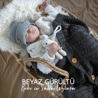 Güzel Orman Sesleri - Rahatla Zamanı Vaha
