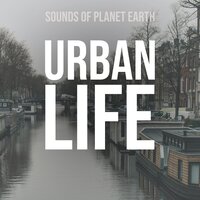 Sounds of Windy Day in the City Park - Sounds of Planet Earth