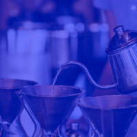 Debonair Backdrops for Boutique Cafes - Summertime Jazz Band