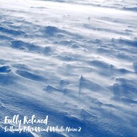 Soothing Polar Wind White Noise, Pt. 15 - Steve Brassel