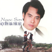 Chiều tiễn đưa - Ngoc Son