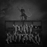 Hole In Your Head - TONY MOTARO