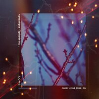 Never Ends - CARRY