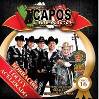 Traigo Ganas de Pistear - Los Capos De Mexico