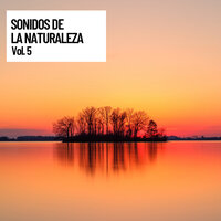Chakras and Cycles - Musica relajante & Musica relajante dormir & Musica Relajante Para Estudiar