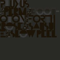 Perm - Pluxus
