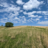 Away out on the Prairie - Larry Jones