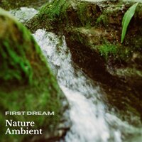 Nature Ambient No.101 - First Dream
