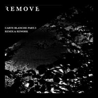 Ethnolecte - Remove & Dubuk & MILES