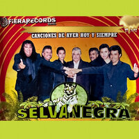 Veracruz - Selva Negra
