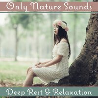 Colorful Fantasy - Just Relax Music Universe