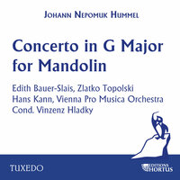 Sonata for Violin and Piano No. 1 in B-Flat Major, Op. 5: I. Allegro moderato - Hans Kann & Zlatko Topolski & Иоган Непомук Гуммель