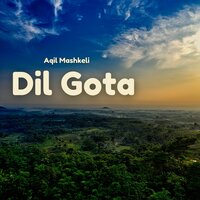 Dil Gushi - Aqil Mashkeli