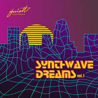 The Vice City - Nightdrive