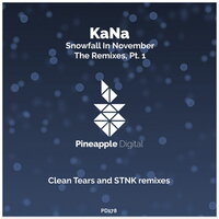 Snowfall in November - Kana