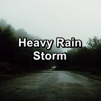 Moderate Rain Storm in the Evening - Thunder and Rain Storm & Rain & Thunder Storm Sounds & Rain & Thunder Sounds