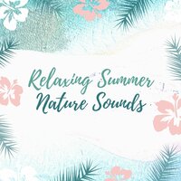 Sea Breeze - Singing Sirens