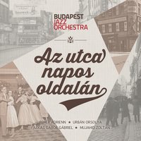 Míg a Napfény Mosolyog Rád - Budapest Jazz Orchestra & Fehér Adrienn