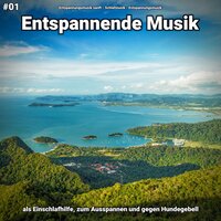 Entspannende Musik pt. 40 - Entspannungsmusik sanft & Schlafmusik & Entspannungsmusik