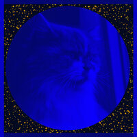 Dream Like Ambience for Home with Cats - Cat Music Vibes