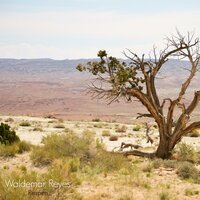 Vueltas - Waldemar Reyes