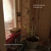 Она сидела на скале - роман женьшень & егор арестов