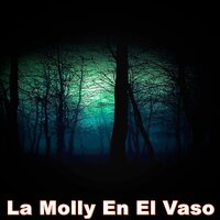 La Molly En El Vaso - YOLO AVENTURAS