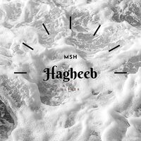 Msh Hagheeb - Slyver PV
