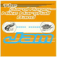 Blues for Oaktown - The Darol Anger / Mike Marshall Band & Darol Anger & Mike Marshall