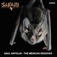 De Madrugada - Saul Antolin