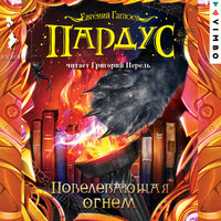 Глава 24. Огненный дождь - Григорий Перель
