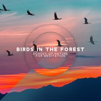 Forest Animals - Singing Birds Zone