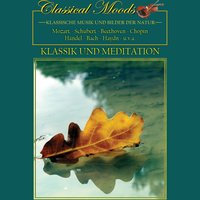 Symphony No. 8 in B Minor, D. 759: II. Andante can moto - Stuttgarter Kammerorchester & Karl Münchinger & Франц Шуберт