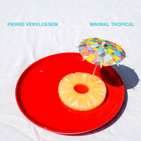 Uma Canção Irritante - Pierre Vervloesem