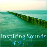 Well Being (Flute Sounds) - Emotional Healing Intrumental Academy