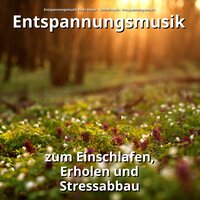 Instrumentalmusik für den Tiefschlaf - Entspannungsmusik Bodo Steier & Schlafmusik & Entspannungsmusik