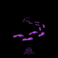 Gone - ELI