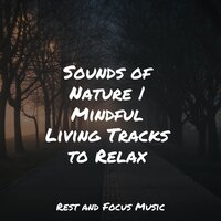 Soothing Southern Sounds - Exam Study Classical Music & Classical New Age Piano Music & Life Sounds Nature