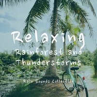 Rainforest: Relaxing Crickets and Birds - Rain Sounds Collection