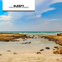 Alpha Wave Halcyon - Deep Sleep Hair Dryers